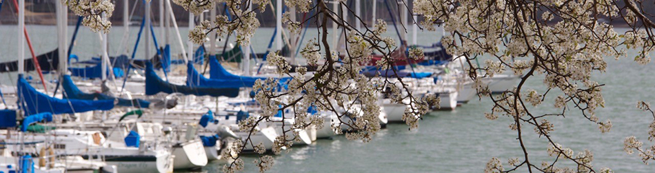 Spring view of sailboats in their slips