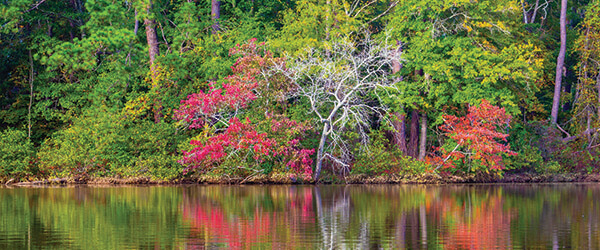 Reflections on Lake Rutledge