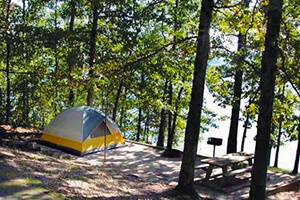 Tent under pine trees by the lake