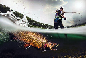 man in water catching a fish, you see the fish under the water