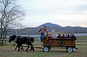 horse pulling wagon with people