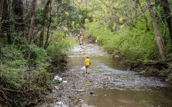 Volunteer with yellow shirt wading in the river during a past cleanup event