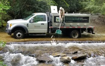 Employee standing on side of Georgia DNR truck restocking the lake.