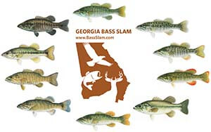 Bass Slam logo with bass images around the state of GA DNR