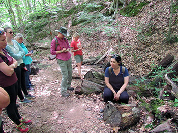 On the trail a foraging instructor speaks to participants