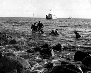Old B&W photo of Baldesare and team in ocean swimming to shore.