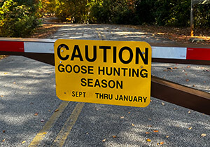 Yellow sign on gate arm at entrance to a park that says "Caution, Goose Hunting Season Sept thru January"