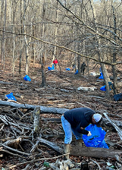A wooded area of shoreline is dotted with blue trash bags and volunteers cleaning up trash and debris from Lake Lanier's shoreline.