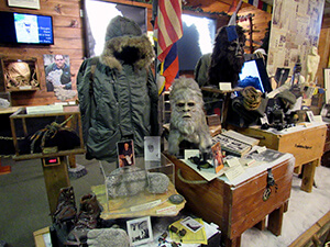 A view inside the museum with castings, maps, clothing, and replicas of Bigfoot.
