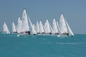 Many sailboats with white sails racing on bright blue water.