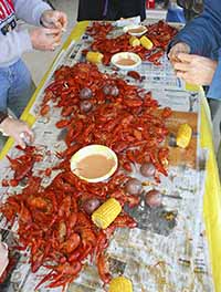 A photo showing hands in a pile of freshly boiled crawfish picking them up to eat.