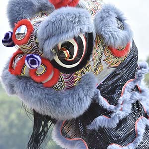 Closeup of a Chinese dragon as they perform during the 2023 Dragonboat Festival.