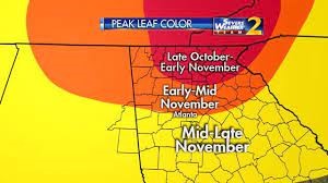 A graphic showing the peak times for Fall Leaf color in North Georgia.