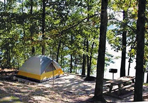 A photo of a tent under shady pine trees with a grill and picnic table near the lake's edge. 