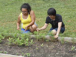 Two students on their knees next to a raised bed checking the flowers' growth. 